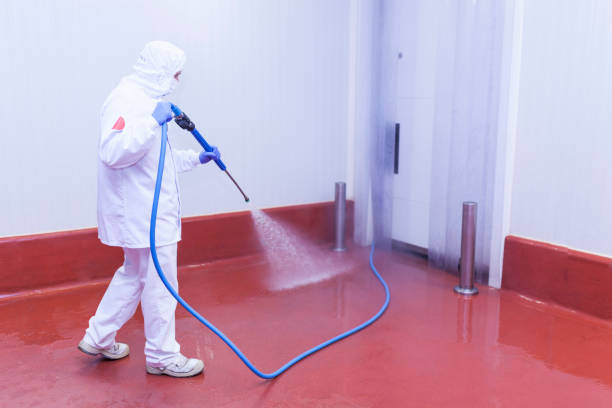Best Sidewalk and Walkway Cleaning  in Lackland Af, TX
